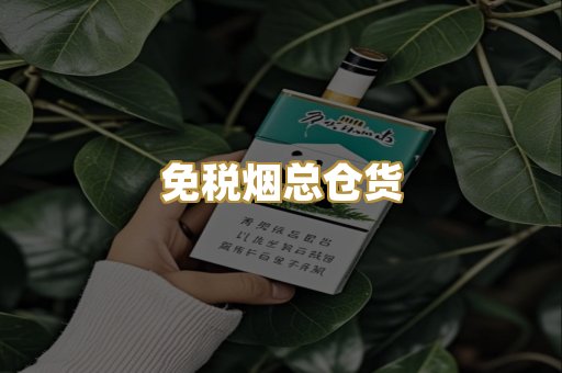 免税烟总仓货